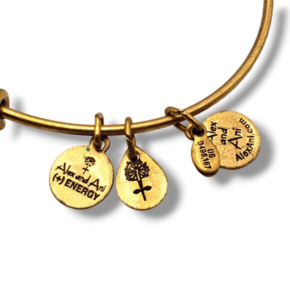 Alex and Ani Gold Tone World Peace Rafaelian Bangle Bracelet - Picture 6 of 9